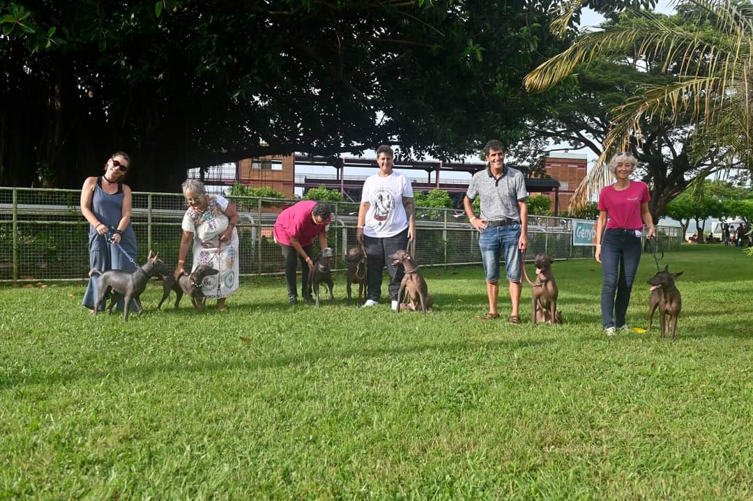 regroupement de chiens fè en Martinique lors du Dogshow 2023